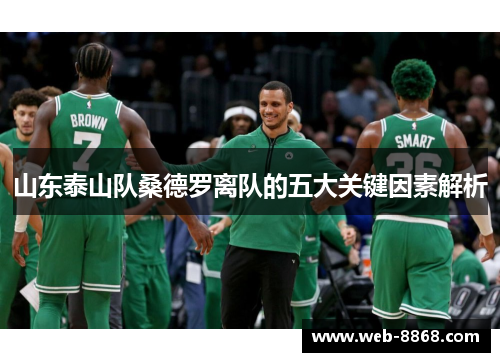 山东泰山队桑德罗离队的五大关键因素解析 山东泰山队桑德罗离队的五大关键因素解析