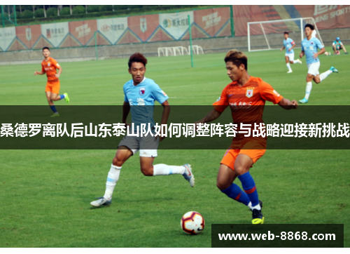 桑德罗离队后山东泰山队如何调整阵容与战略迎接新挑战 桑德罗离队后山东泰山队如何调整阵容与战略迎接新挑战