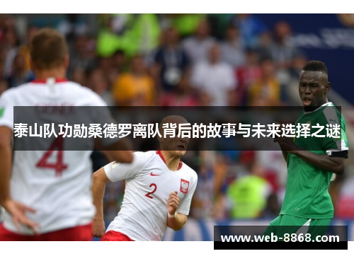 泰山队功勋桑德罗离队背后的故事与未来选择之谜 泰山队功勋桑德罗离队背后的故事与未来选择之谜