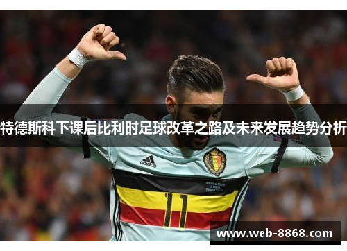 特德斯科下课后比利时足球改革之路及未来发展趋势分析