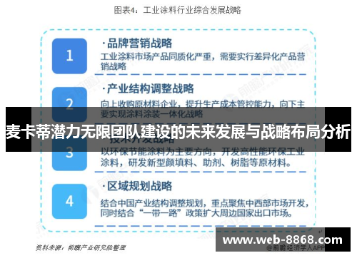 麦卡蒂潜力无限团队建设的未来发展与战略布局分析